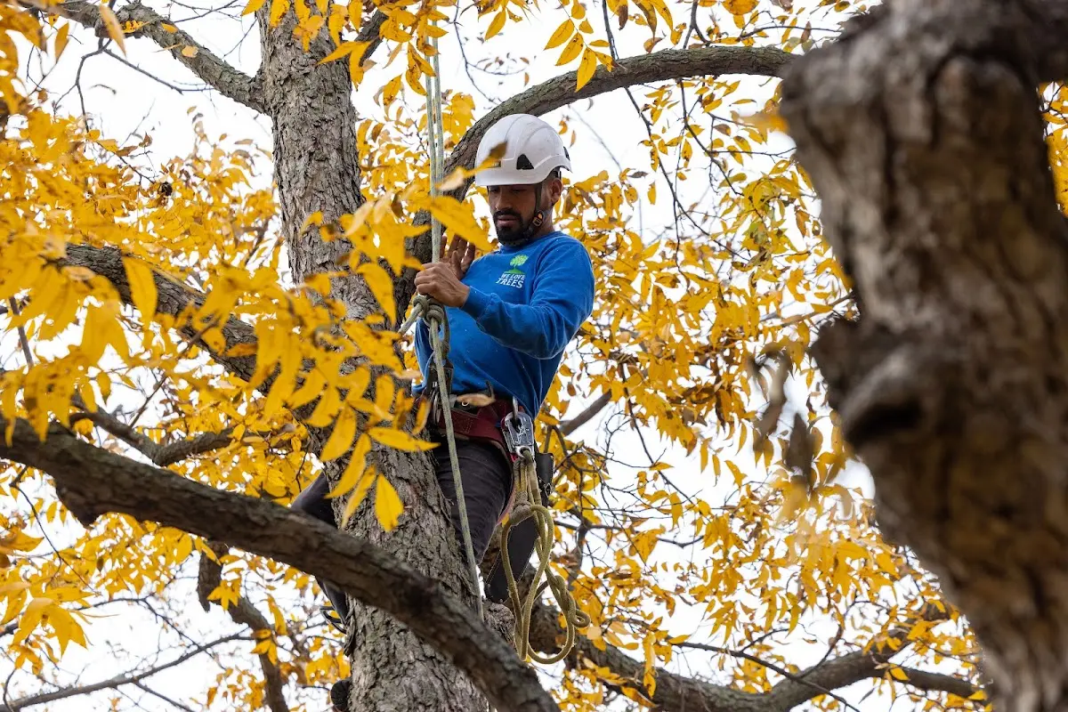 Skilled Storm Damage Cleanup crew working in Waldron
